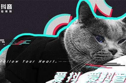 分享一个词库提升的SEO学员网站,首页绝